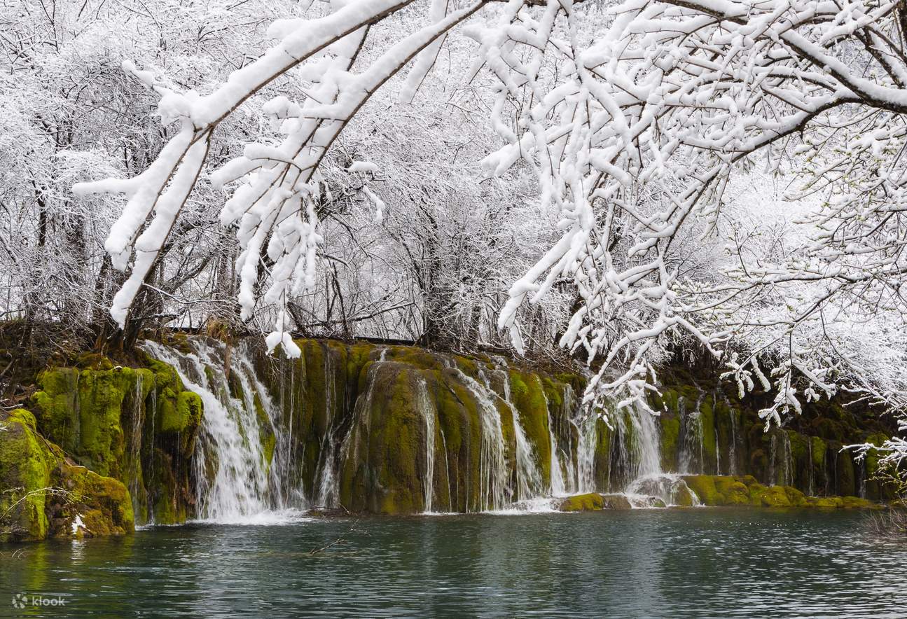 Jiuzhaigou Arrow Bamboo - Pemandangan Salji Musim Sejuk